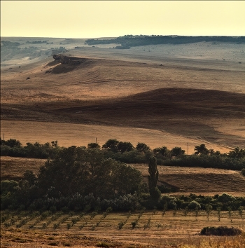 On Earth, the Crimean
