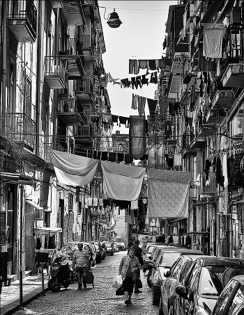 NAPLES CITY CONTRASTS