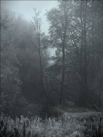 evening silence