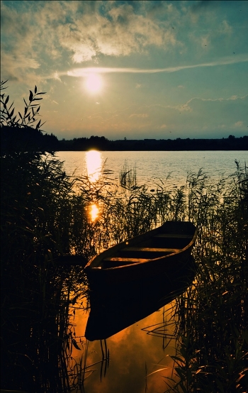 Another passing day