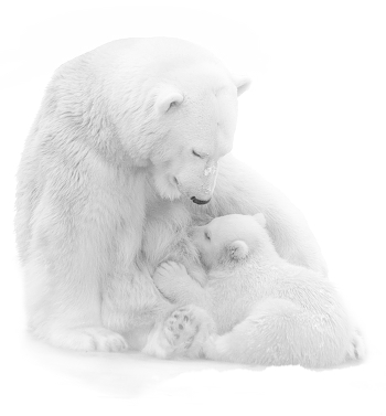 of tenderness and love