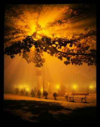 Night, street lights ... bench ...