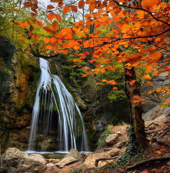 Colorful and lush year!