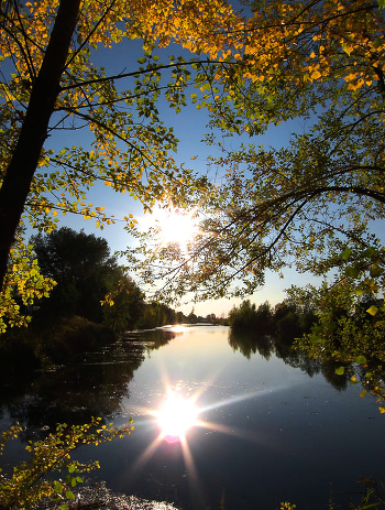 The smell of autumn