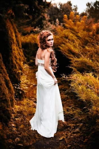 Walk in the fairy forest