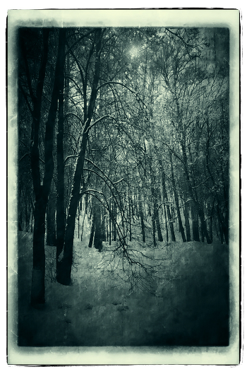 Winter