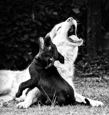 in unison