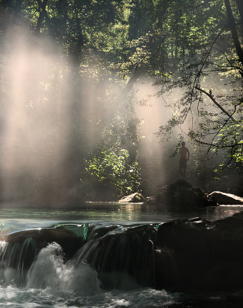 Light