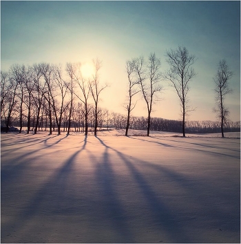 Lange Schatten im Februar