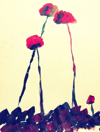 Poppies