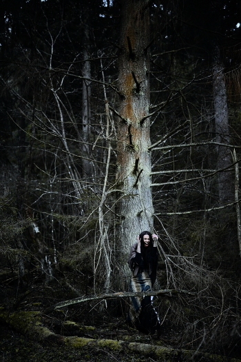 dark forest