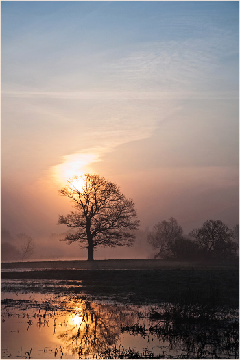 Awakened by the sun