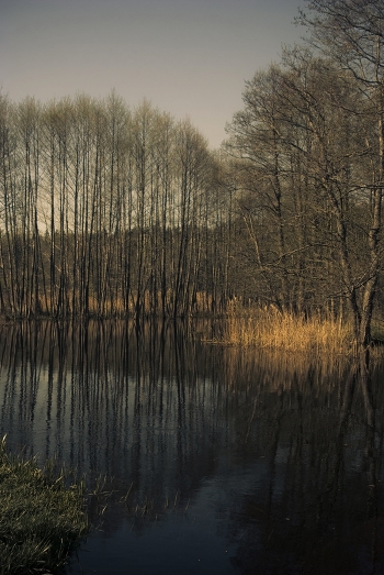 Spring on r.Sha