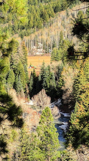 in the mountains of Colorado