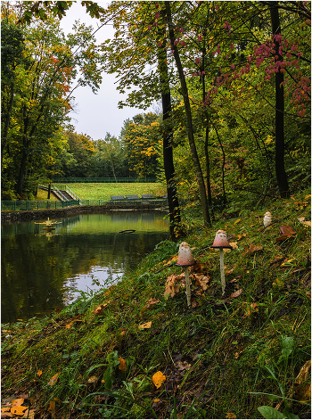 In the autumn park.