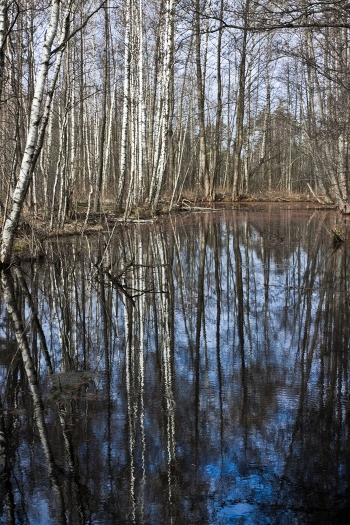 Spring flooding