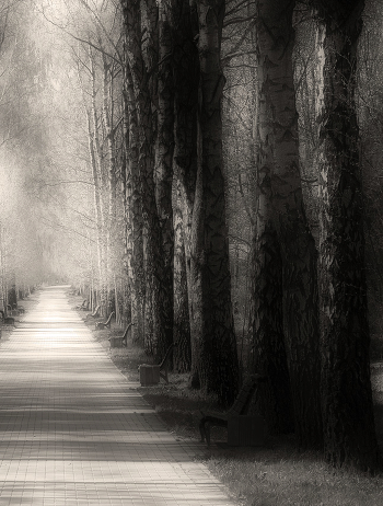 Alley