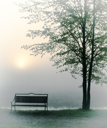 Kiss me at dawn