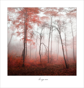 Series silence
