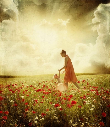 Poppies