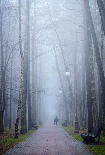 Misty turned out in November