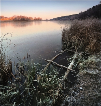 first frost
