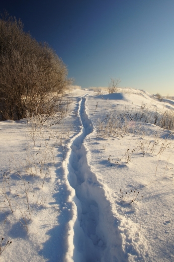 winter sunny day