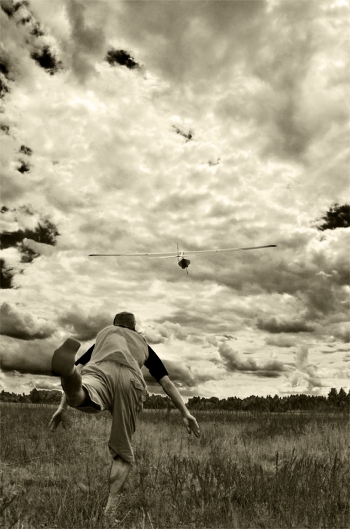 striving toward the clouds