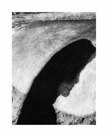 Theatre of Shadows. (Continued)