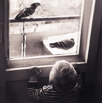 Sasha and pigeons