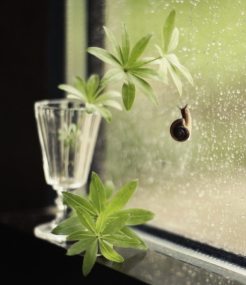 When the rain outside the window ... ...