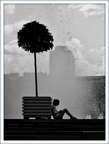 He, she and the tree
