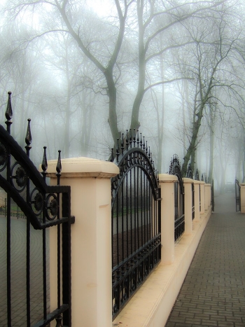 Welcome to the autumn park