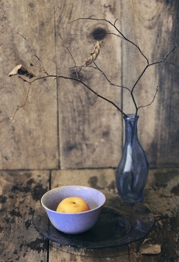Dried branch ...