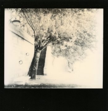 Rainy Parisian Polaroid