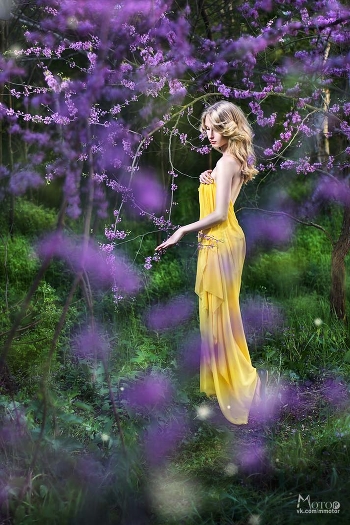 in blooming gardens
