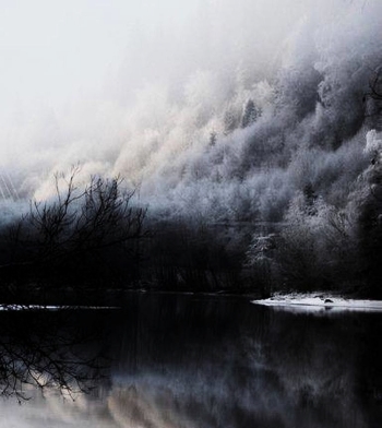 Fog