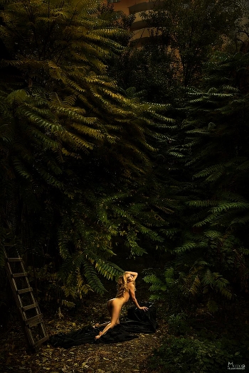 in the nature