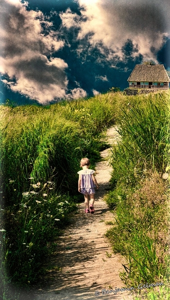 Long road to home