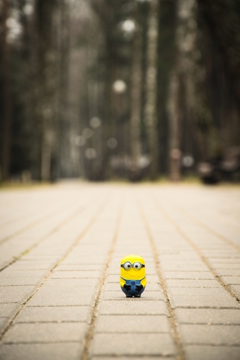Mignon in the park.