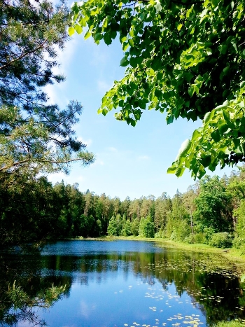 Lake in Nizhny Novgorod