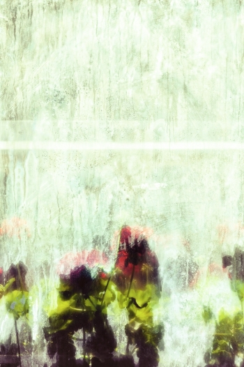 Fragment #3