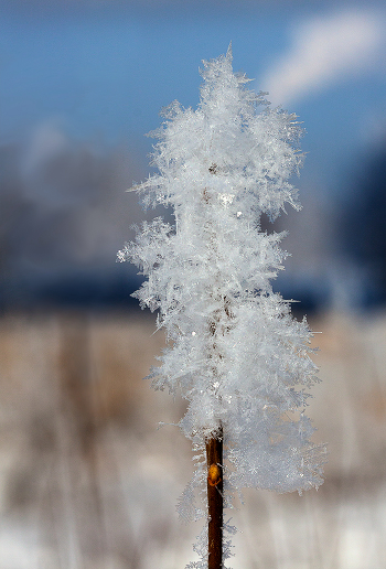 Frost and sun – what a wonderful day