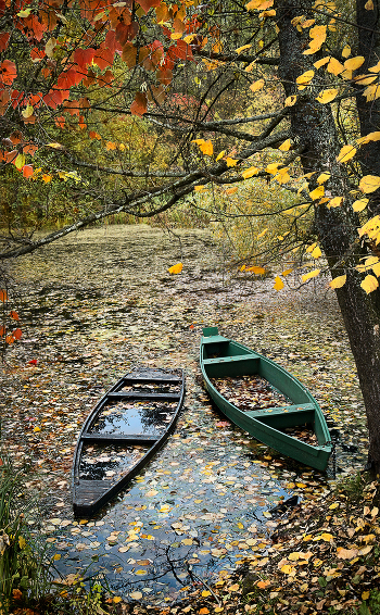 Backwater