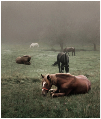 Horses