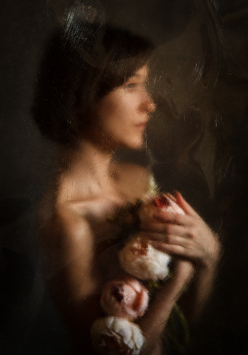 portrait of peonies