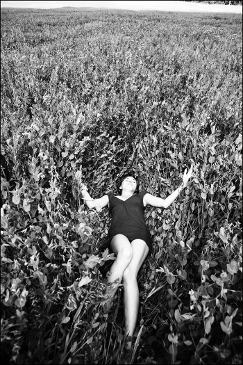 about dreams