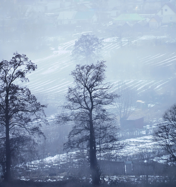 Thaw