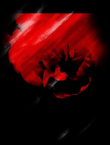 ***