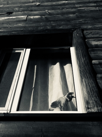 ***